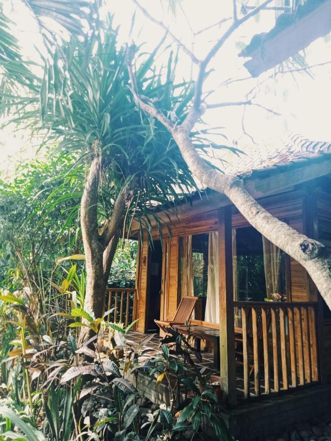 Jembrana Bali Homestay Negara  Exterior foto