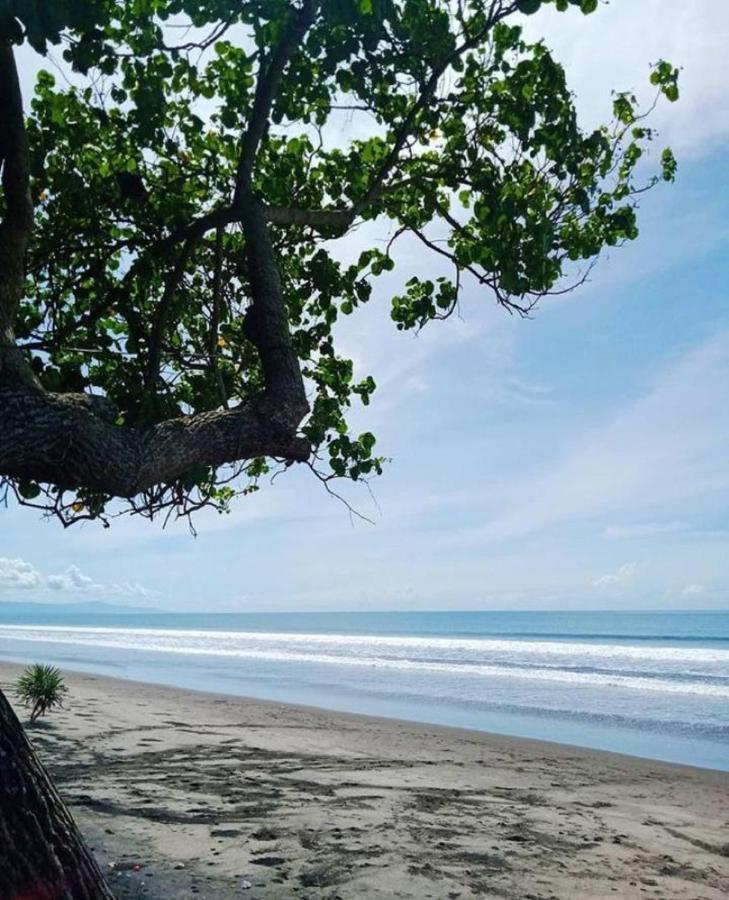 Jembrana Bali Homestay Negara  Exterior foto